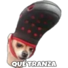 Perritos con frases 26