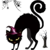 Halloween black cat 14