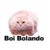 Gatitozzz 8