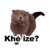 Gatitozzz 9