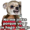 PERRITOS ASADOS 10