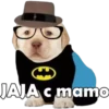 JAJA c mamo
C