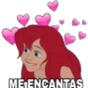 todo 23
