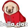 PERRITO PACK 5 17