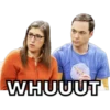 The Big Bang Theory 2 22