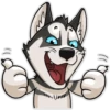 HuskyToon 17