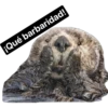 animalitos del bosque 24