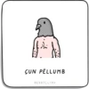 ÇUN PËLLUMB
REHATLLIKU