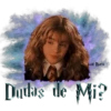 Hogwarts Express 25