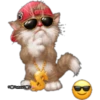 Gatitos tiernos 20