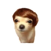 Lomitos (Perritos) de Internet 18