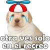 PERRITO PACK 5 19