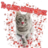 Te quiero comer el pez
cokki