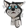 HuskyToon 18