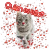 Quien es ella?
cokki