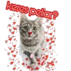 keres peliar?
cokki