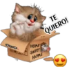 Gatitos tiernos 21
