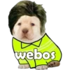 webos