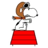 Snoopy 22