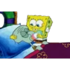 Bob 26