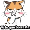 Vilo que borraste