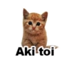 Gatitozzz 11