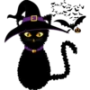 Halloween black cat 18