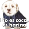 No es coca,
es harina