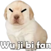 PERRITO PACK 5 20