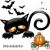 [2][7][2][8][2][6])