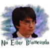 Hogwarts Express 28
