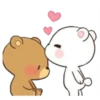 Ositos 16