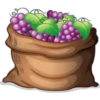 Food - Fruits (Vector) 12