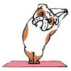 Perros & Yoga 15