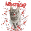 Me amas?