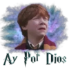Hogwarts Express 29