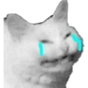 cute cat reactions 21