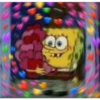 Bob 29