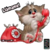 Gatitos tiernos 22