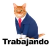 Gatitozzz 14
