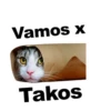 Gatitozzz 15