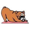Perros & Yoga 18