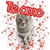 Te amo
cokki