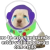 PERRITO PACK 5 23