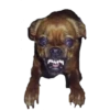 PERRITOS ASADOS 12