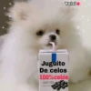 Juguitos 14