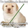 Ya termine de limpiar
pq ese último mensaje
estuvo re kgado