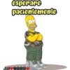 supreme№1 30