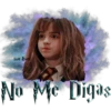 Hogwarts Express 30