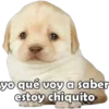 yo que voy a saber
estoy chiquito